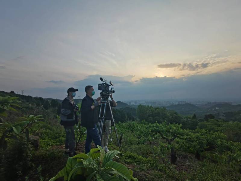 创意破圈！巩义市电商产品宣传视频用故事化叙事引爆流量