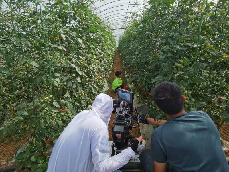 巩义市产品宣传视频拍摄公司进阶指南，助力品牌抢占传播高地